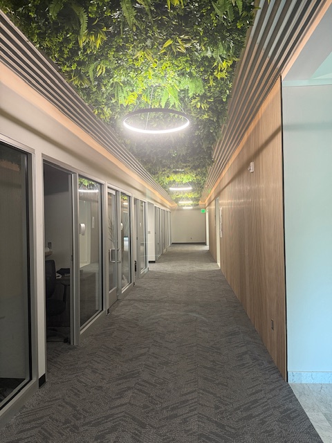 UG Back Hall 5